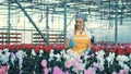 Lady worker is cheerfully inspecting warmhouse flowers