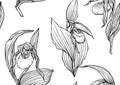 Lady's slipper orchid, Cypripedioideae, Seamless pattern, background.