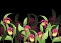 Lady's slipper orchid, Cypripedioideae, Seamless pattern, background. Vector illustration.