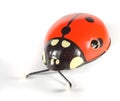 Ladybird