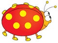 Ladybird