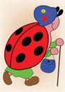 Ladybird