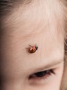 Ladybird bug walking across forehead of a girl Royalty Free Stock Photo