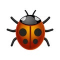 Ladybird Bug on White Background. Vector. Royalty Free Stock Photo
