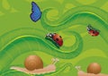 Ladybird butterfly and snails