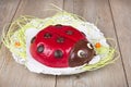 Ladybird cake on wooden background Royalty Free Stock Photo