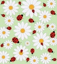 Ladybird and daisy vector pattern