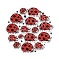 Ladybird family, frame for your design