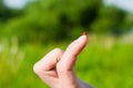 Ladybird on the finger Royalty Free Stock Photo