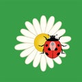 ladybird on a flower, vector Royalty Free Stock Photo