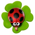 Smelly ladybird on the four-leaf clover. Royalty Free Stock Photo