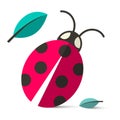 Ladybird - Ladybug Vector Illustration