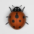 Ladybird (orange)