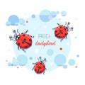 Ladybird. Vector cartoon character. Emblem. Cute red ladybugs on a background of the sky with clouds.