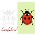 Ladybird vector illustration  flat style, lining draw Royalty Free Stock Photo
