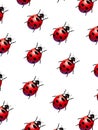 Ladybirds Royalty Free Stock Photo