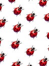 Ladybirds