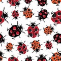 Ladybirds seamless pattern. Vector illustration.