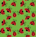 Ladybirds pattern