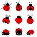 Ladybug Royalty Free Stock Photo