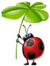 Ladybug with four-leaf clover