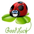 Ladybug with four-leaf clover Royalty Free Stock Photo