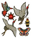 Ladybug, butterfly, beetle, crane, hummingbird embroidery patches.