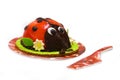 Ladybug cake Royalty Free Stock Photo