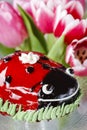 Ladybug cake Royalty Free Stock Photo