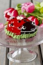 Ladybug cake Royalty Free Stock Photo