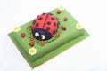 Ladybug cake Royalty Free Stock Photo
