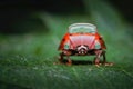 Ladybug car Royalty Free Stock Photo