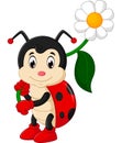 Ladybug cartoon