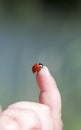 Ladybug on the child's finger Royalty Free Stock Photo