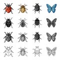 Ladybug, Colorado beetle, insect bug, butterfly. Insects set collection icons in cartoon black monochrome outline style Royalty Free Stock Photo