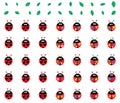 Ladybug colorful weird set Royalty Free Stock Photo