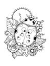 Ladybug coloring book vector illustration