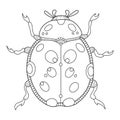 Ladybug coloring book vector illustration