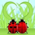 Ladybug Couple Under Heart Shape Grass Royalty Free Stock Photo