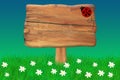 Ladybug Crawing On a Wooden Sign Royalty Free Stock Photo