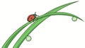 Ladybug on Dewy Grass Vector: Delicate Nature\'s Charm Art, vector design Generative AI Royalty Free Stock Photo