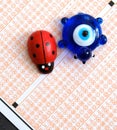 Ladybug,evil eye bead and optical exam paper, exam and luck