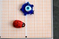 Ladybug,evil eye bead and optical exam paper, exam and luck