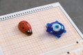 Ladybug,evil eye bead and optical exam paper, exam and luck