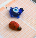 Ladybug,evil eye bead and optical exam paper, exam and luck