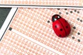 Ladybug,evil eye bead and optical exam paper, exam and luck