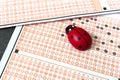 Ladybug,evil eye bead and optical exam paper, exam and luck