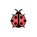 Ladybug. Filled color icon. Animal vector illustration Royalty Free Stock Photo