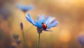 Ladybug on a flower. Ladybird close-up. Selective focus. AI generated