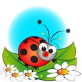 Ladybug and flowers - Kids illustration Royalty Free Stock Photo